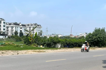 Khu vực Hà Nội dự báo ngày có nắng nóng. (Ảnh minh họa: Đ.T)