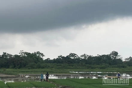 Dự báo khu vực Bắc Bộ có mưa rào và dông rải rác. (Ảnh minh họa: Đ.T)