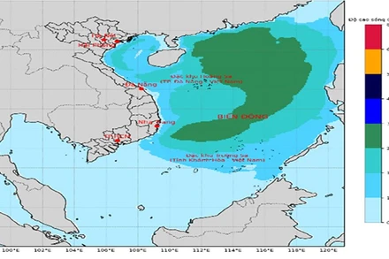 Bản đồ dự báo độ cao sóng.