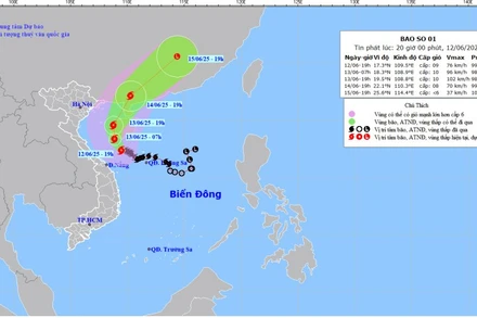 Bản đồ dự báo quỹ đạo và cường độ bão số 1 lúc 20 giờ ngày 12/6/2025.