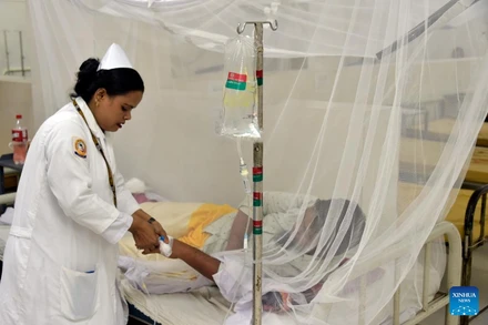 Một bệnh nhân nhiễm sốt xuất huyết được điều trị tại một bệnh viện ở Dhaka, Bangladesh. (Ảnh: Tân Hoa xã)
