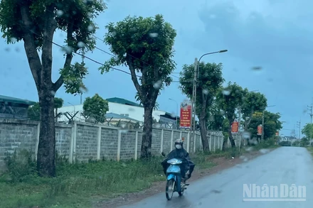 Dự báo khu vực Bắc Bộ có mưa lớn cục bộ. (Ảnh minh họa: Đ.T)