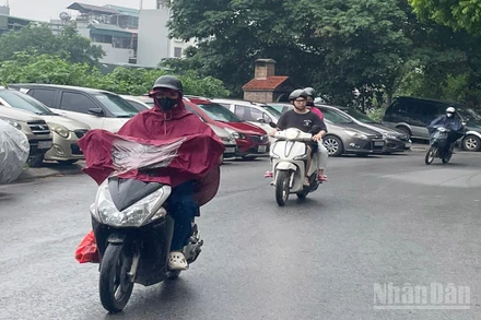 Dự báo Bắc Bộ có mưa rào và dông. (Ảnh minh họa: Đ.T)