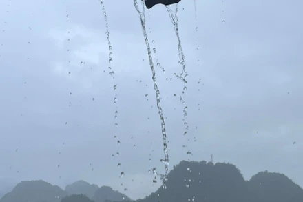 (Ảnh minh họa: Đ.T)