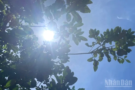 Dự báo Đô Lương, Nghệ An, nhiệt độ lên tới 38,1 độ C. (Ảnh minh họa: Đ.T)