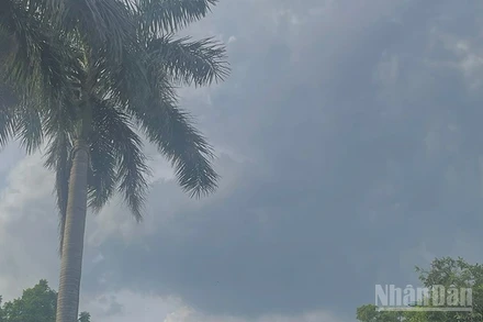 Dự báo khu vực Bắc Bộ và Thanh Hóa đến Hà Tĩnh có mưa rào và dông. (Ảnh minh họa: Đ.T)