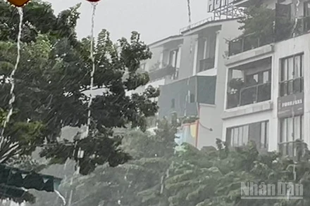 Dự báo khu vực Hà Nội có mưa rào và dông. (Ảnh minh họa: Đ.T)