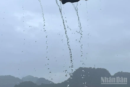 Dự báo khu vực vùng núi Bắc Bộ có mưa rào và dông rải rác, cục bộ có nơi mưa to. (Ảnh minh họa: Đ.T)