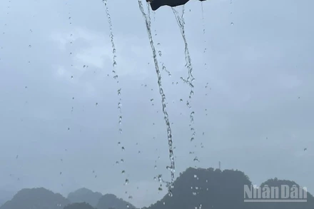 Lào Cai và Tuyên Quang có mưa rào, có nơi trên 80mm. (Ảnh minh họa: Đ.T)