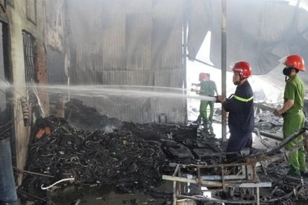 (Ảnh minh họa: NHỰT AN/TTXVN)