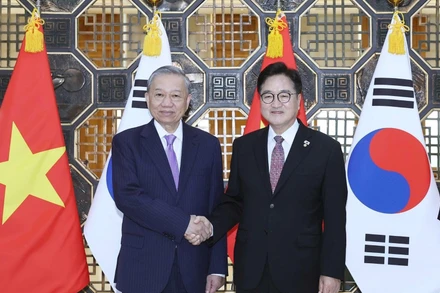 Tổng Bí thư Tô Lâm hội kiến Chủ tịch Quốc hội Hàn Quốc Woo Won Sik. (Ảnh: THỐNG NHẤT/TTXVN)