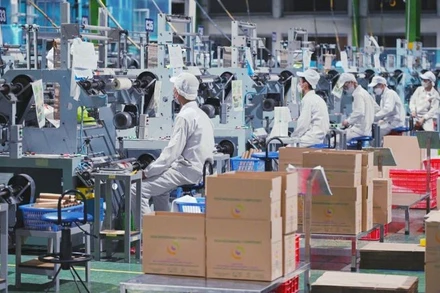 Các chủ đầu tư tập trung phát triển nguồn cung nhà xưởng tiêu chuẩn, tuân thủ tiêu chí ESG và sẵn sàng cho tự động hóa. (Ảnh: PV).