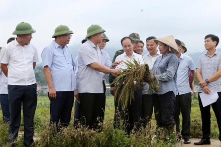 Chủ tịch Ủy ban nhân dân tỉnh Trần Duy Đông và đoàn công tác kiểm tra công tác ứng phó bão số 10 tại xã Xuân Đài.