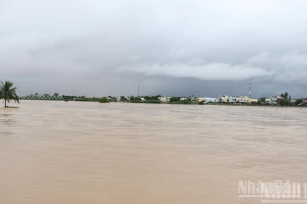 Lũ lớn khiến nhiều vùng ở Quảng Ngãi bị ngập sâu.