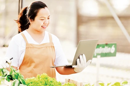 Việc làm xanh như kỹ sư điện gió, phát triển trạm sạc, chuyển giao phần mềm... sẽ đáp ứng mục tiêu chuyển đổi xanh của các doanh nghiệp và Chính phủ. (Ảnh VÕ LÊ)