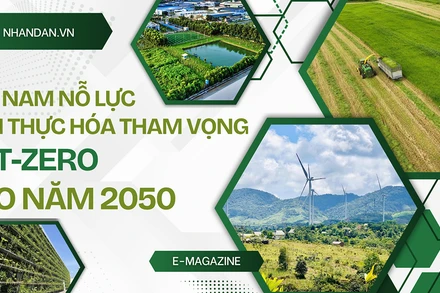 Việt Nam nỗ lực hiện thực hóa tham vọng Net-Zero vào năm 2050