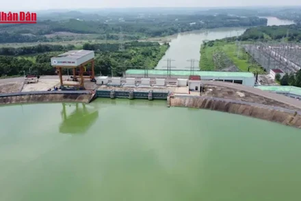 [Video] Nước thượng nguồn về hồ lớn, thủy điện Trị An tăng lượng xả lũ