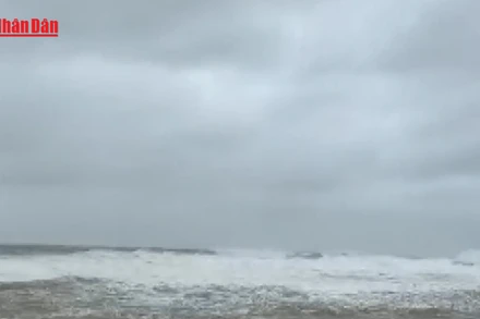 [Video] Triều cường dâng cao gây ngập 500 nhà dân ở Lý Sơn