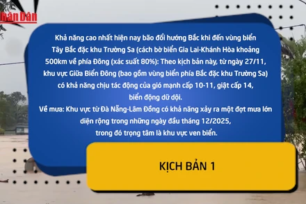 [Video] Hai kịch bản bão số 15