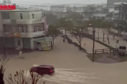 [Video] Hàng nghìn hộ dân tại Gia Lai bị nhấn chìm trong mưa lũ