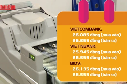 [Video] Đồng USD suy yếu sau đợt tăng mạnh