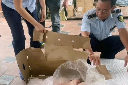 Đội Quản lý thị trường số 18 kiểm tra Hộ kinh doanh Lục Hồng.