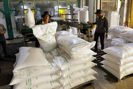 Senegal là thị trường tiềm năng cho xuất khẩu gạo của Việt Nam. (Ảnh minh họa: TTXVN)