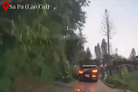 Sạt lở tại đường đi bản Cát Cát, ô-tô con bị cuốn phăng xuống triền núi