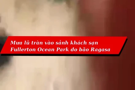 Video nước lũ tràn vào sảnh khách sạn Fullerton ở Hong Kong do bão Ragasa