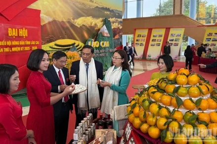 Các đại biểu tham quan gian hàng của nông dân tại Đại hội. (Ảnh: THANH SƠN)