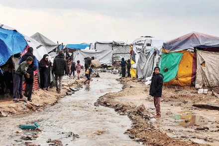 Người dân sinh sống trong các lều trại ở Dải Gaza. (Ảnh TÂN HOA XÃ)