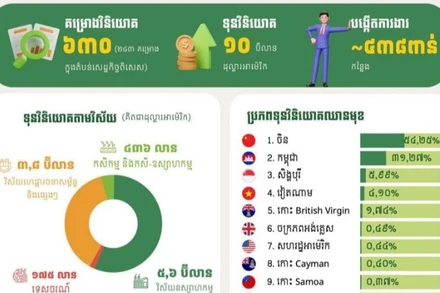 Số liệu thống kê về các dự án đầu tư năm 2025 của CDC. (Ảnh: Fresh News)