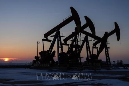 Một giếng dầu ở tỉnh Liêu Ninh, Trung Quốc. (Ảnh THX/TTXVN)