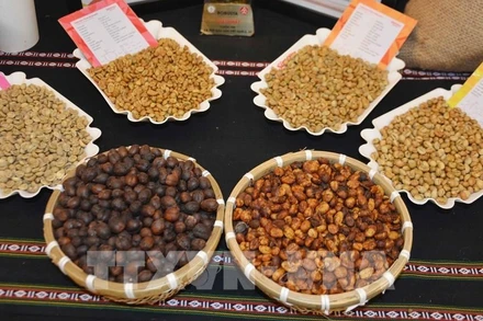 Cà-phê đặc sản Việt Nam. (Ảnh: HOÀI THU/TTXVN)