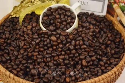 Sản phẩm cà-phê Việt Nam chất lượng cao gắn với tăng trưởng xanh và phát triển bền vững. (Ảnh: Hoài Thu/TTXVN)