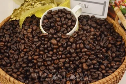 Cà-phê Việt Nam chất lượng cao gắn với tăng trưởng xanh và phát triển bền vững. (Ảnh: HOÀI THU/TTXVN)