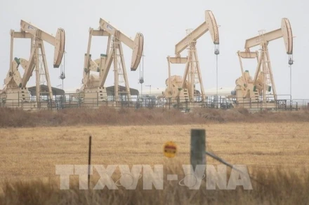 Thị trường dầu thế giới ngóng chờ kết quả cuộc họp của OPEC+. (Ảnh: THX/TTXVN)