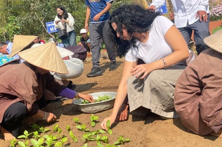 Du khách quốc tế tham gia trồng rau tại Lễ hội cầu bông Trà Quế, thành phố Đà Nẵng.