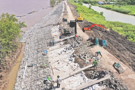 Gia cố bờ kè đê biển Tây (Cà Mau). Ảnh: NSNA Nguyễn Thanh Dũng