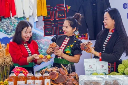 Hội chợ lần này nằm trong chuỗi hoạt động kỷ niệm 130 năm thành lập tỉnh Sơn La (1895-2025), đồng thời hướng tới kết nối giao thương Việt-Lào. (Ảnh: PV)