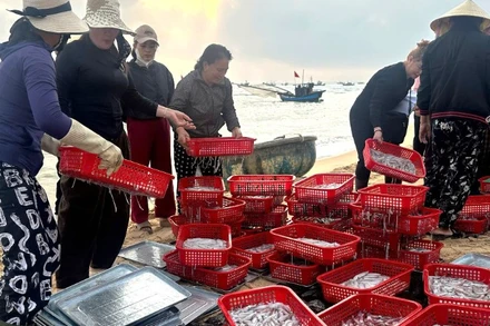 Chợ cá Nhân Trạch họp bên mép sóng tấp nấp mua bán hải sản buổi sáng sớm.