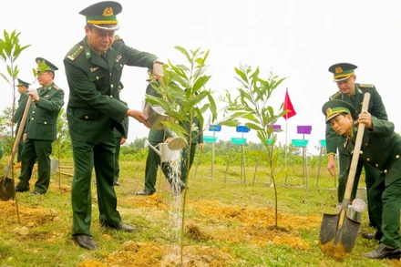 Cán bộ, chiến sĩ Bộ đội Biên phòng tỉnh Quảng Trị ra quân trồng cây đầu xuân Bính Ngọ 2026.