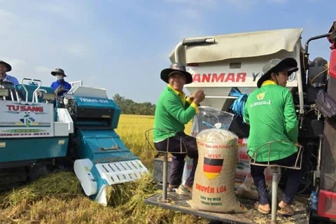 Công nghệ góp phần nâng cao chuỗi giá trị 1 triệu ha lúa phát thải thấp.