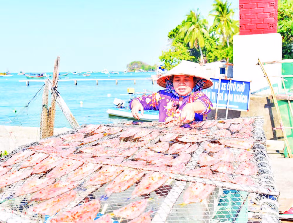 Người dân ở đặc khu Kiên Hải phơi khô cá biển.