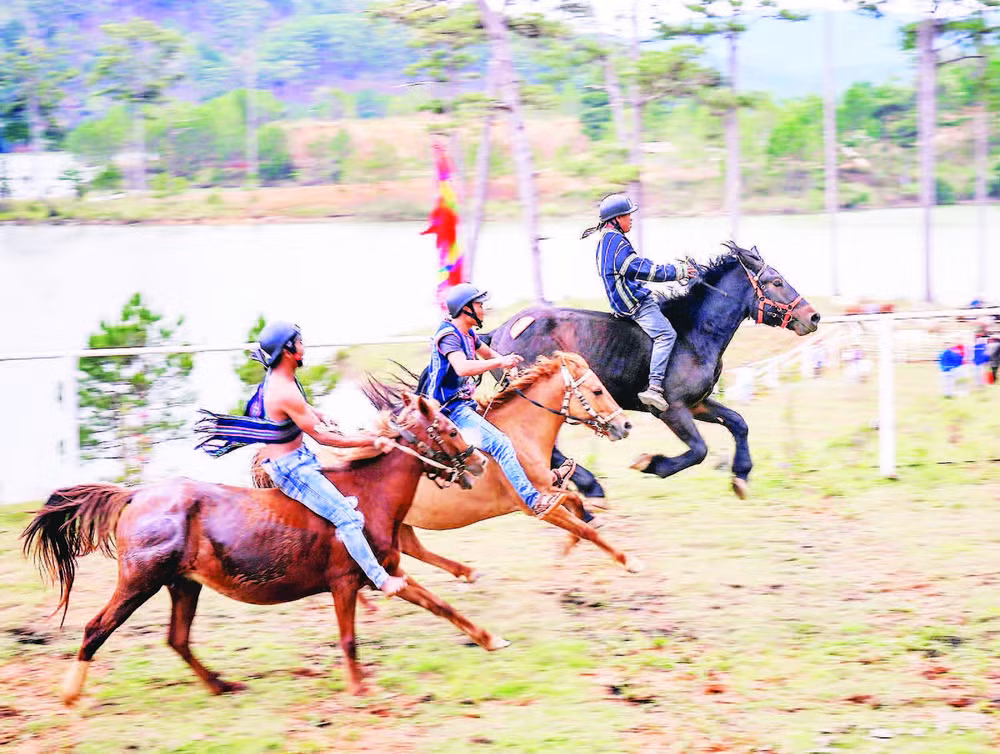 Giải đua ngựa không yên dưới chân núi Lang Biang.