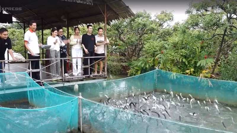 Du khách thích thú xem "cá lóc bay" ở làng du lịch cộng đồng cồn Sơn.