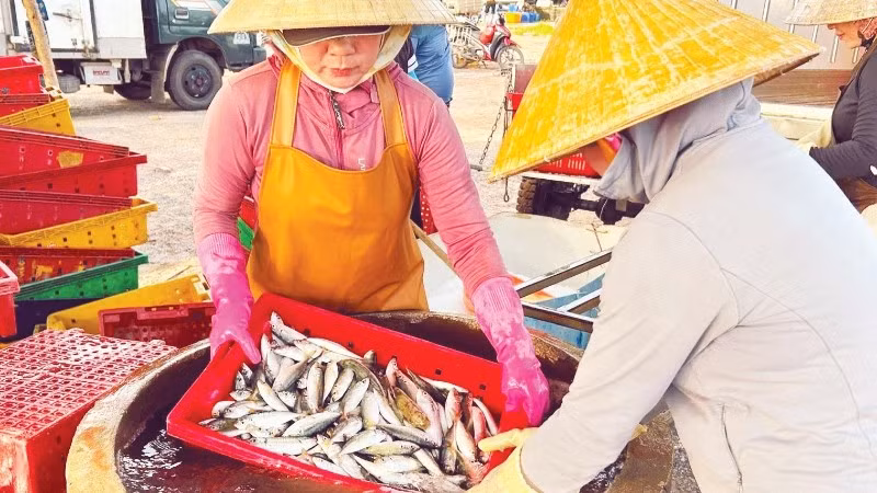 Thủy sản đóng góp tỷ trọng lớn trong cơ cấu tăng trưởng ngành nông nghiệp.