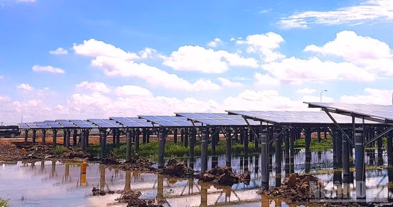 Tây Ninh bảo đảm nguồn cung năng lượng - một trong những điều kiện tiên quyết để duy trì tăng trưởng, nâng cao năng lực cạnh tranh và thu hút các dòng vốn đầu tư mới.