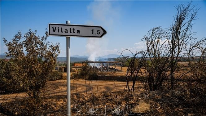 Khu vực bị tàn phá do cháy rừng ở Lleida, Tây Ban Nha. (Ảnh: THX/TTXVN)