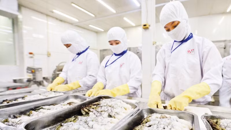 Trình diễn các sản phẩm khởi nghiệp sáng tạo tại Ngày hội khởi nghiệp sáng tạo năm 2025.